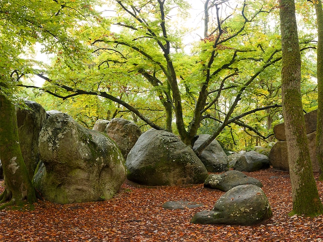 Regionaler Naturpark Gâtinais français