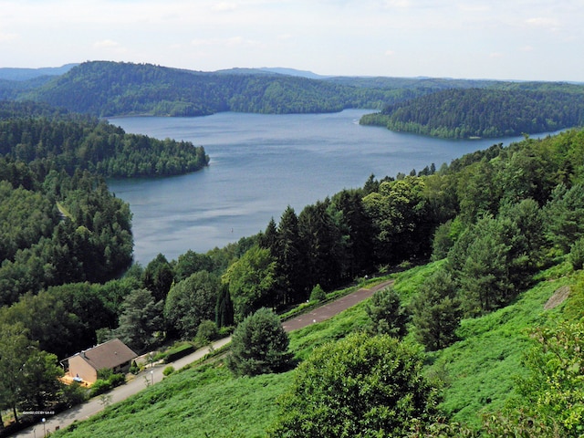 Lac de Pierre PercéeLes Trois Forêts