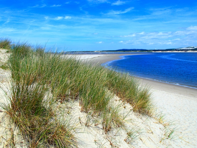 Baie de Canche
