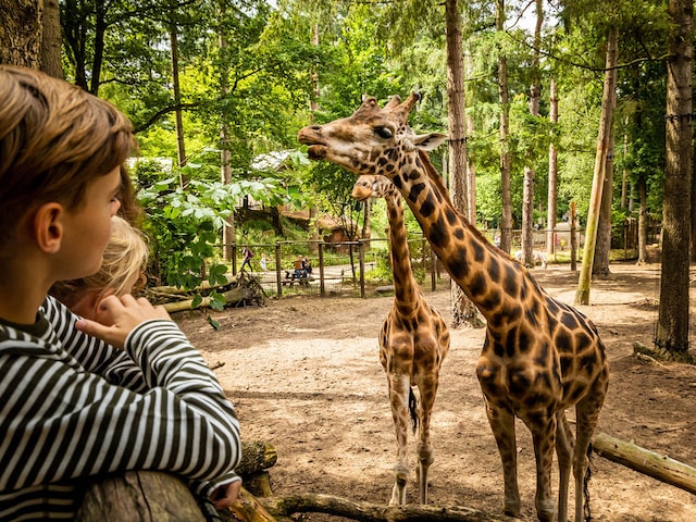 Zoo Amersfoort