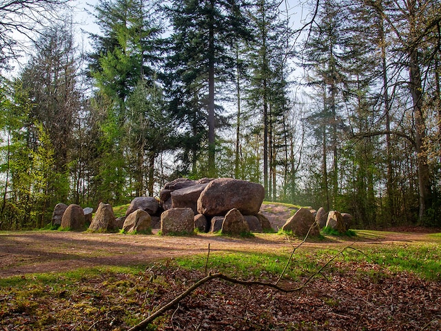 Dolmen D49Parc Sandur