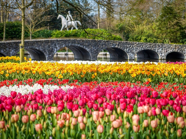 KeukenhofPark Zandvoort