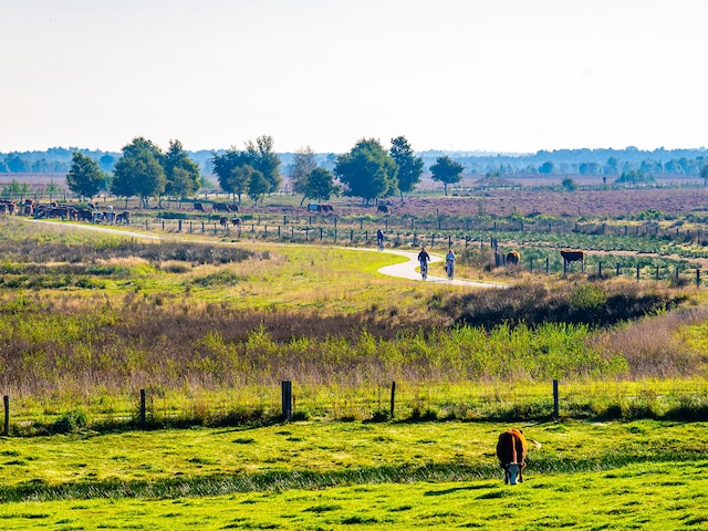 Naturschutzgebiet Bargerveen