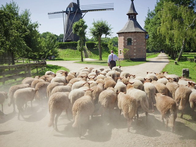 Musée en plein air de BokrijkTerhills Resort