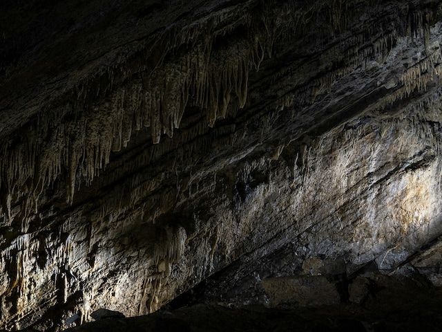 Tropfsteinhöhle von HanLes Ardennes