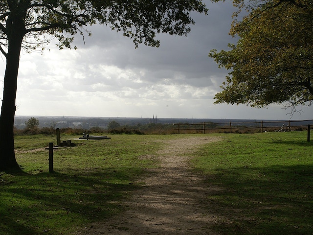 Naturschutzgebiet MookerheideHet Heijderbos