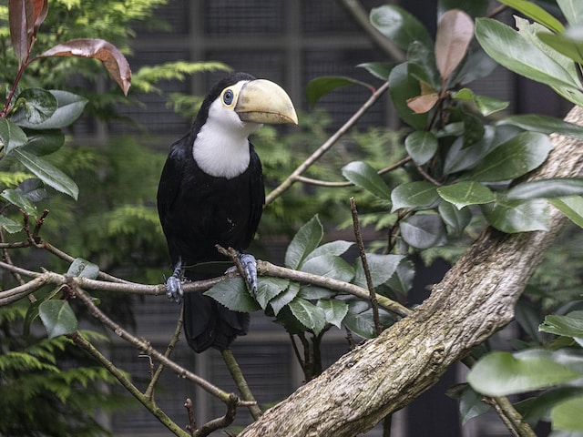 Vogelpark WalsrodeBispinger Heide