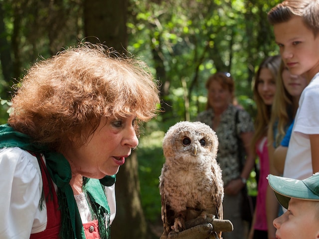 Volière de rapaces de BispingenBispinger Heide