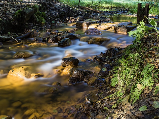 Source de la SchwindeBispinger Heide