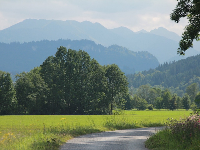 Réserve naturelle Taufach et Fetzach-MoosPark Allgäu