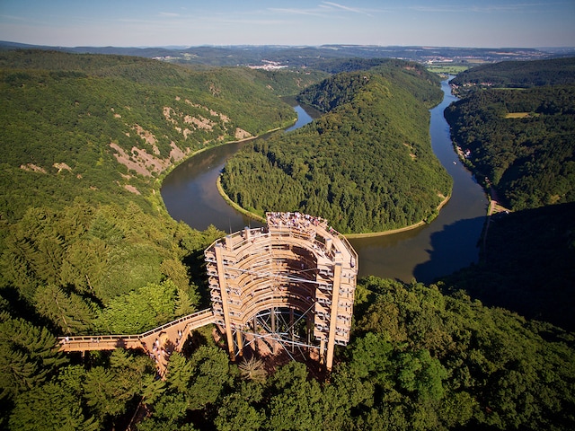 The Treetop WalkPark Bostalsee