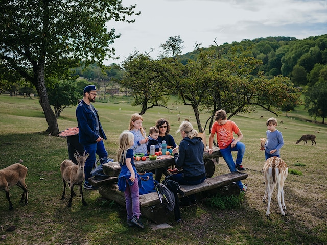 Naturwildpark Freisen