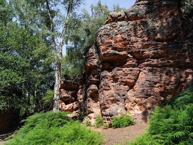 KatzensteinePark Eifel