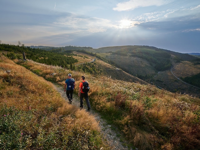 RothaarsteigPark Hochsauerland