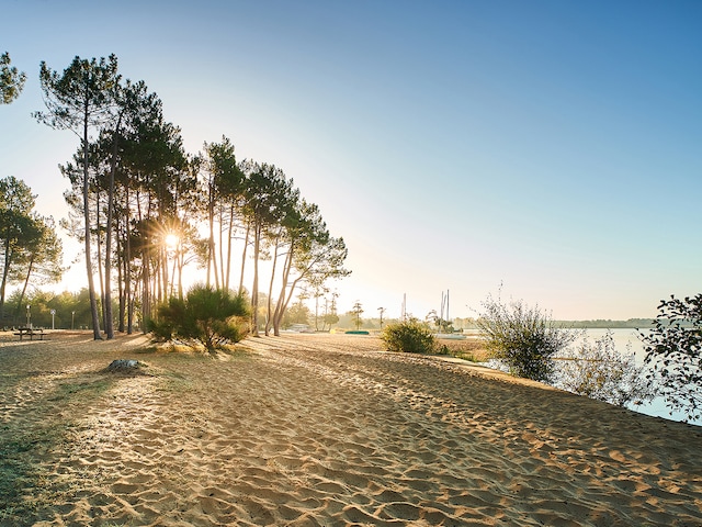 Natuur