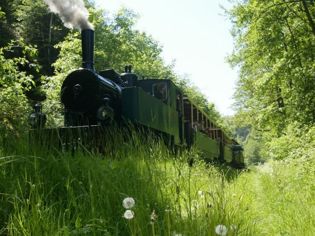 Train Forestier d'AbreschvillerLes Trois Forêts