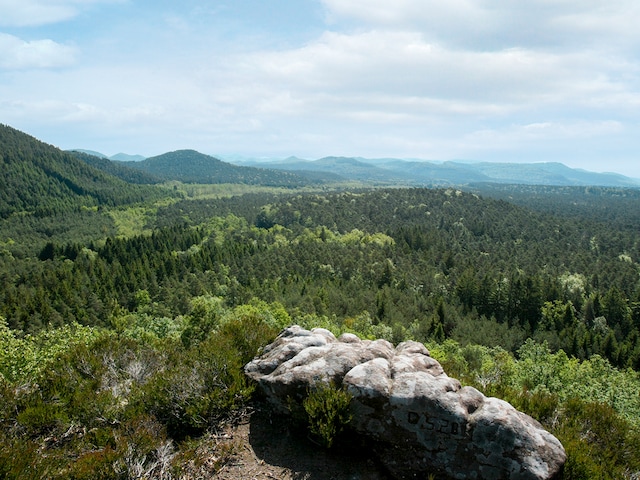 Regionaler Naturpark VosgesLes Trois Forêts