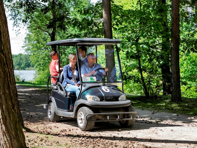 la voiturette électrique