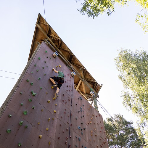 Bispinger Heide Soltau
