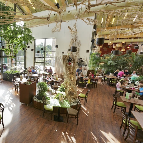 Market Restaurant